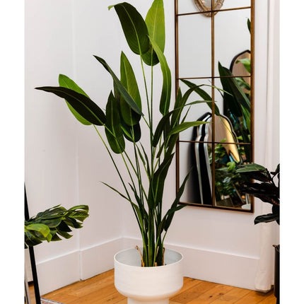 Cana Artificial Canna Potted Plant (Multiple Sizes)
