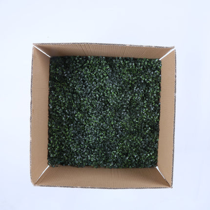 Barcelona (box of 12)