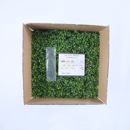 Valencia (box of 12)