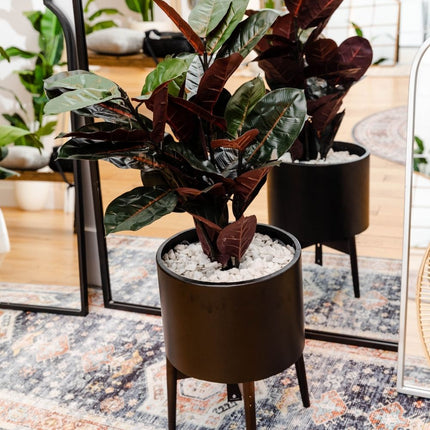 Salamina Artificial Rubber Potted Plant 3'