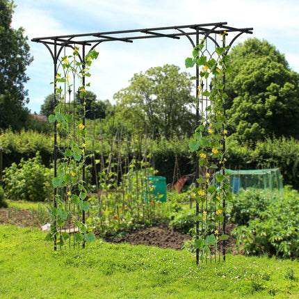 81 x 20 Inch Metal Garden Arch for Various Climbing Plant