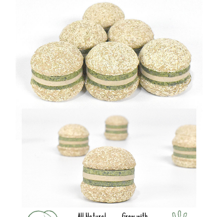 Silvervine Hamburger