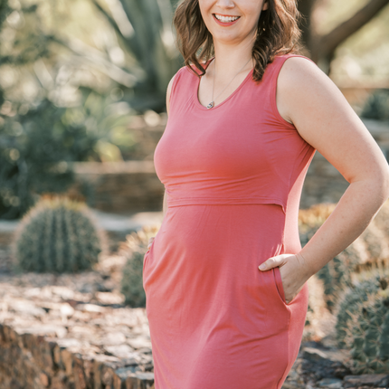 Randi Maternity & Nursing Dress