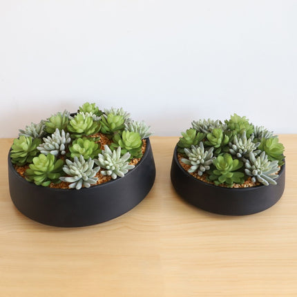 Kae Artificial Succulent Arrangement in Low Black Pot
