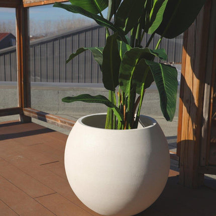 Rolo Round Cement Planter (Multiple Sizes)