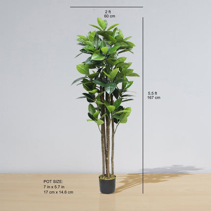 Encanto Artificial Rubber Potted Plant (Multiple Sizes)