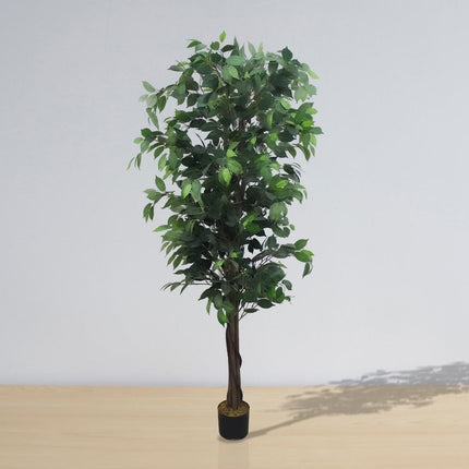 Tarso Artificial Ficus Potted Plant 6'
