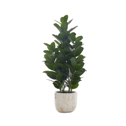 Plante artificielle -  garcinia intérieur pot 7",  31"H - Monarch (I 9507)