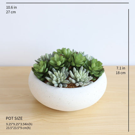 Zed Faux Succulent Arrangement in Low White Pot 7.1"