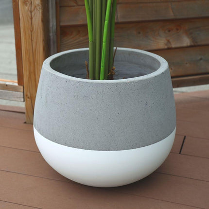 Zamora Cement Planter (Multiple Sizes)