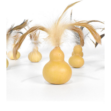 Silvervine Gall Fruit Gourd