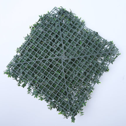 Barcelona (box of 12)