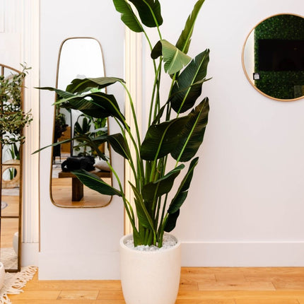 Yelapa Cement Planter (Multiple Sizes)