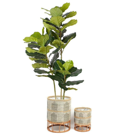 Masina - Seagrass Floor Planter & Rattan Stand