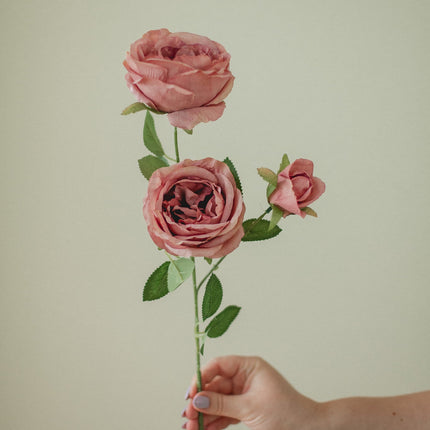 Large Rose Stem