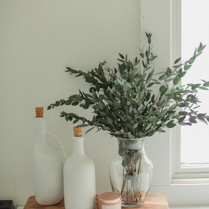 Italian short willow (Parvifolia)