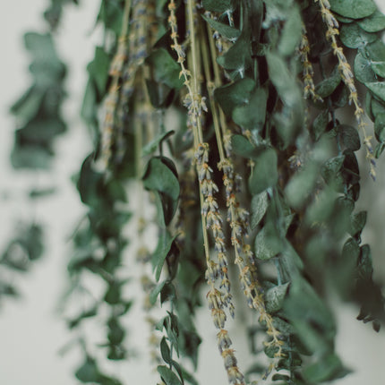 Eucalyptus Shower Bundle