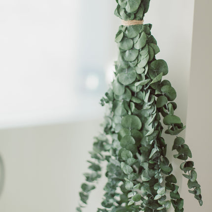 Eucalyptus Shower Bundle