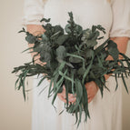 4 stem variation large