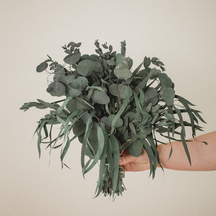 Preserved Eucalyptus Arrangement