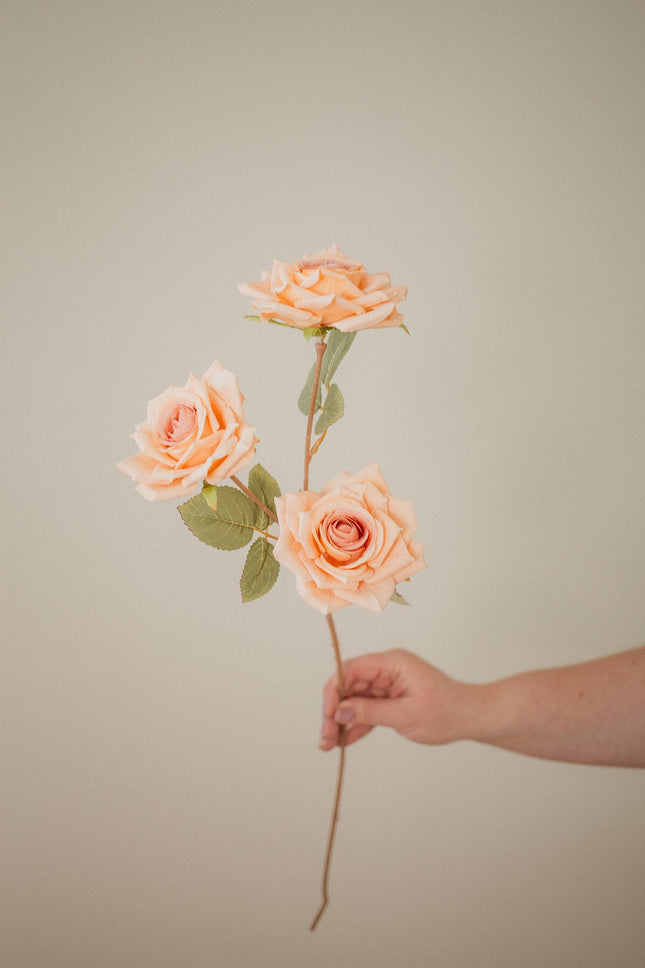 3 Blossom Rose Stem