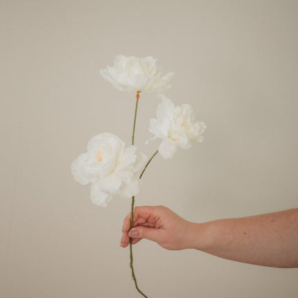 Fluffy Peony Stem