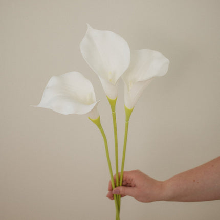 Calla Lilly Stem