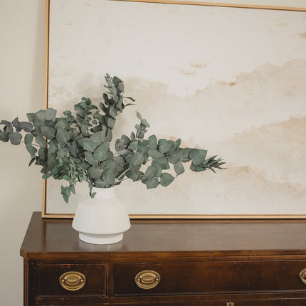 Italian Cinera Eucalyptus