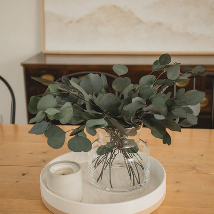 Italian Silver Dollar Eucalyptus