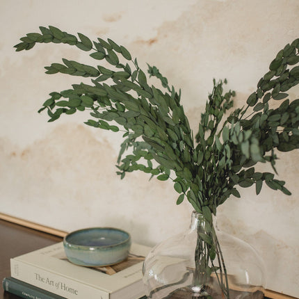 Preserved Short Willow Eucalyptus (Parvifolia)