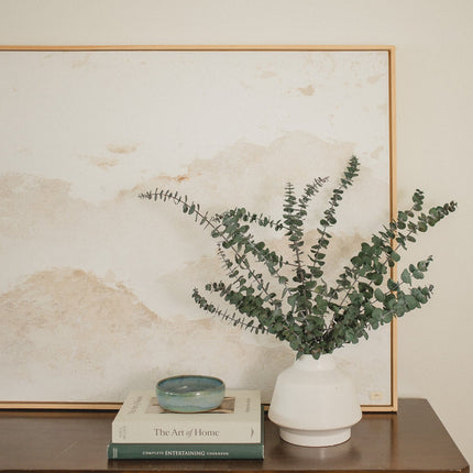 Italian Baby Eucalyptus