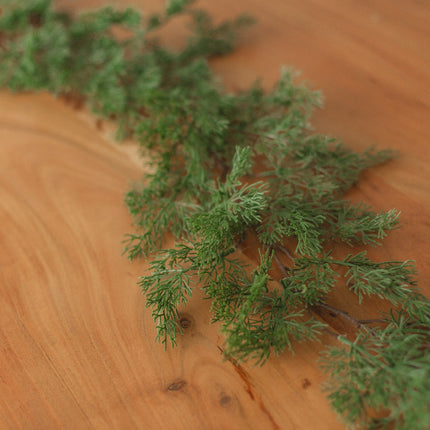 Cypress Pine Garland