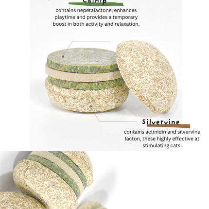 Silvervine Hamburger