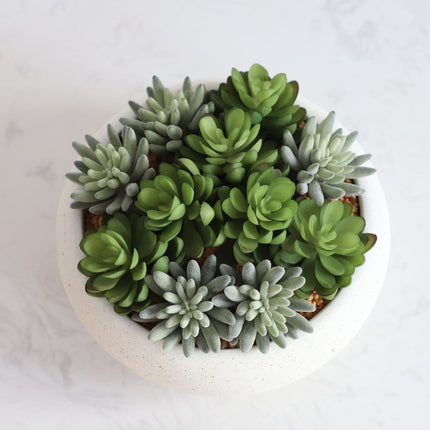 Zed Faux Succulent Arrangement in Low White Pot 7.1"