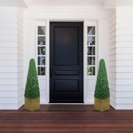 Mayer Potted Boxwood Topiary Plant (Multiple Sizes)