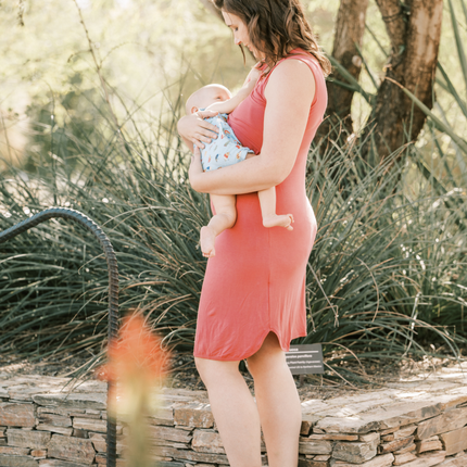 Randi Maternity & Nursing Dress