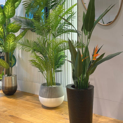 Zamora Cement Planter (Multiple Sizes)