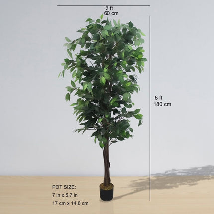 Tarso Artificial Ficus Potted Plant 6'