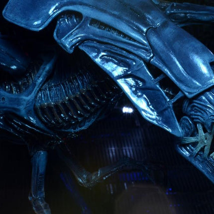 Aliens Xenomorph Queen Deluxe Action Figure