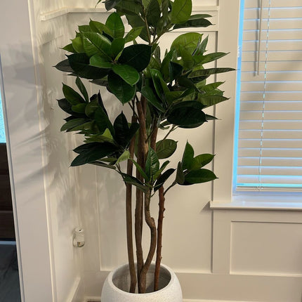 Encanto Artificial Rubber Potted Plant (Multiple Sizes)