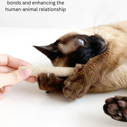 Silvervine Egg Rolls 2pcs