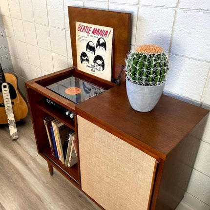 Coco Artificial Cactus Potted Plant 11"