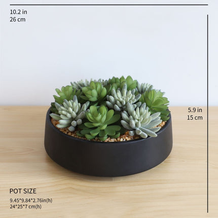 Kae Artificial Succulent Arrangement in Low Black Pot