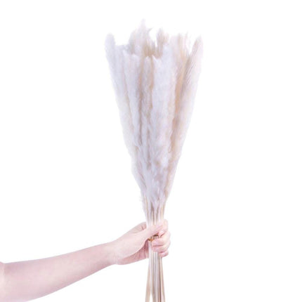 Beige Pampas Bouquet 26'' (Set Of 30)