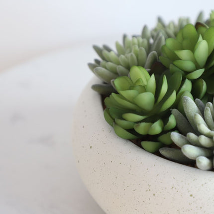 Zed Faux Succulent Arrangement in Low White Pot 7.1"
