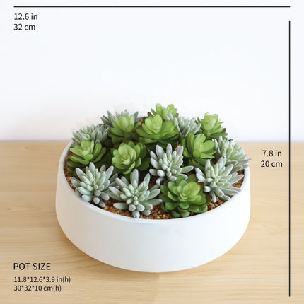 Eva Artificial Succulent Arrangement in Low White Pot
