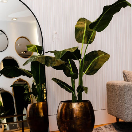 Dani Artificial Travellers Palm Tree Potted Plant (Multiple Sizes)