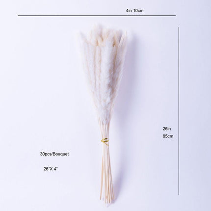 Beige Pampas Bouquet 26'' (Set Of 30)