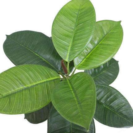 Iza Artificial Rubber Potted Plant 1.4'