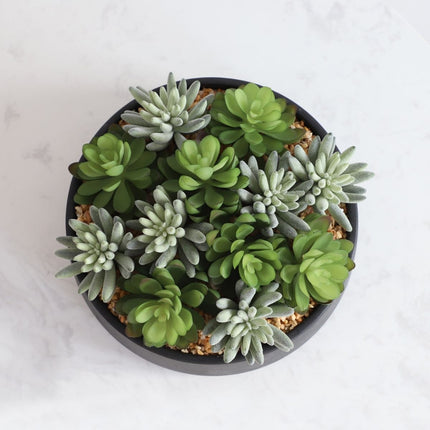 Kae Artificial Succulent Arrangement in Low Black Pot
